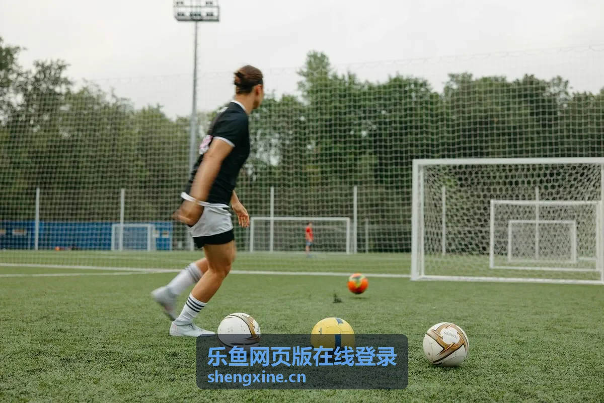 乐鱼网页版在线登录回放：嘉宾访谈专场封面